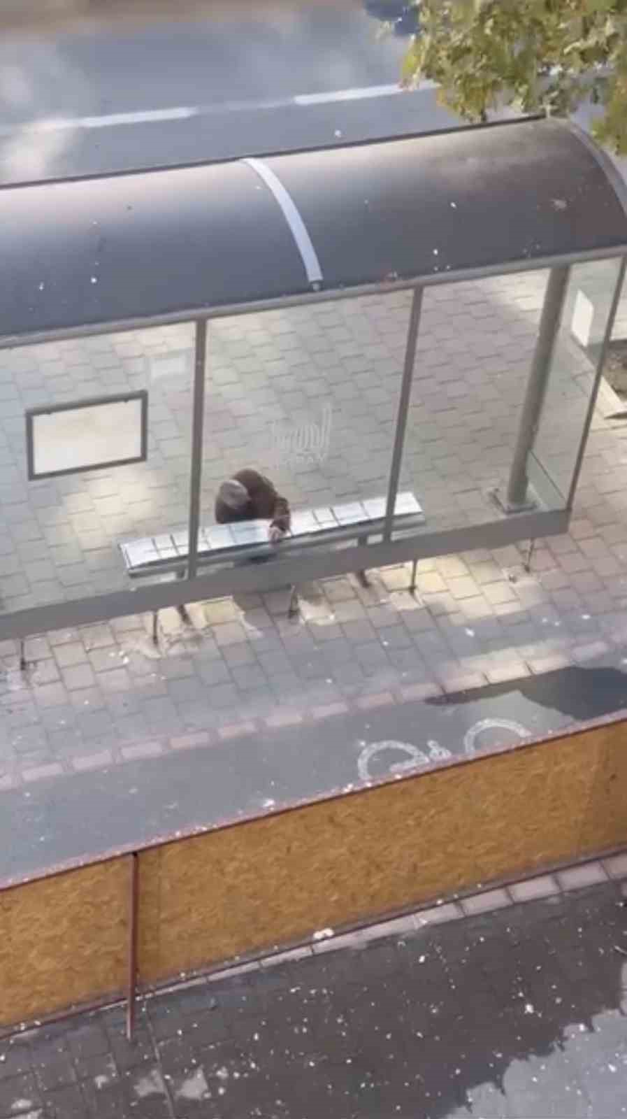 Mardin’de duyarlı vatandaş, yolcular üşümesin diye durağın oturma yerlerini halıyla kapladı