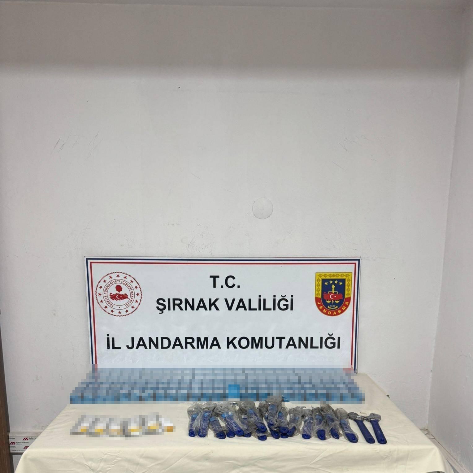 Şırnak&rsquo;ta Jandarmadan ka&ccedil;ak&ccedil;ılık operasyonu: 55 ş&uuml;pheli hakkında işlem yapıldı
