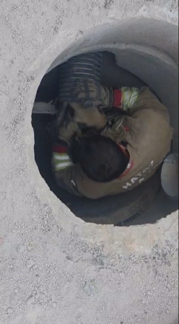 R&ouml;garda mahsur kalan yavru k&ouml;peği itfaiye kurtardı
