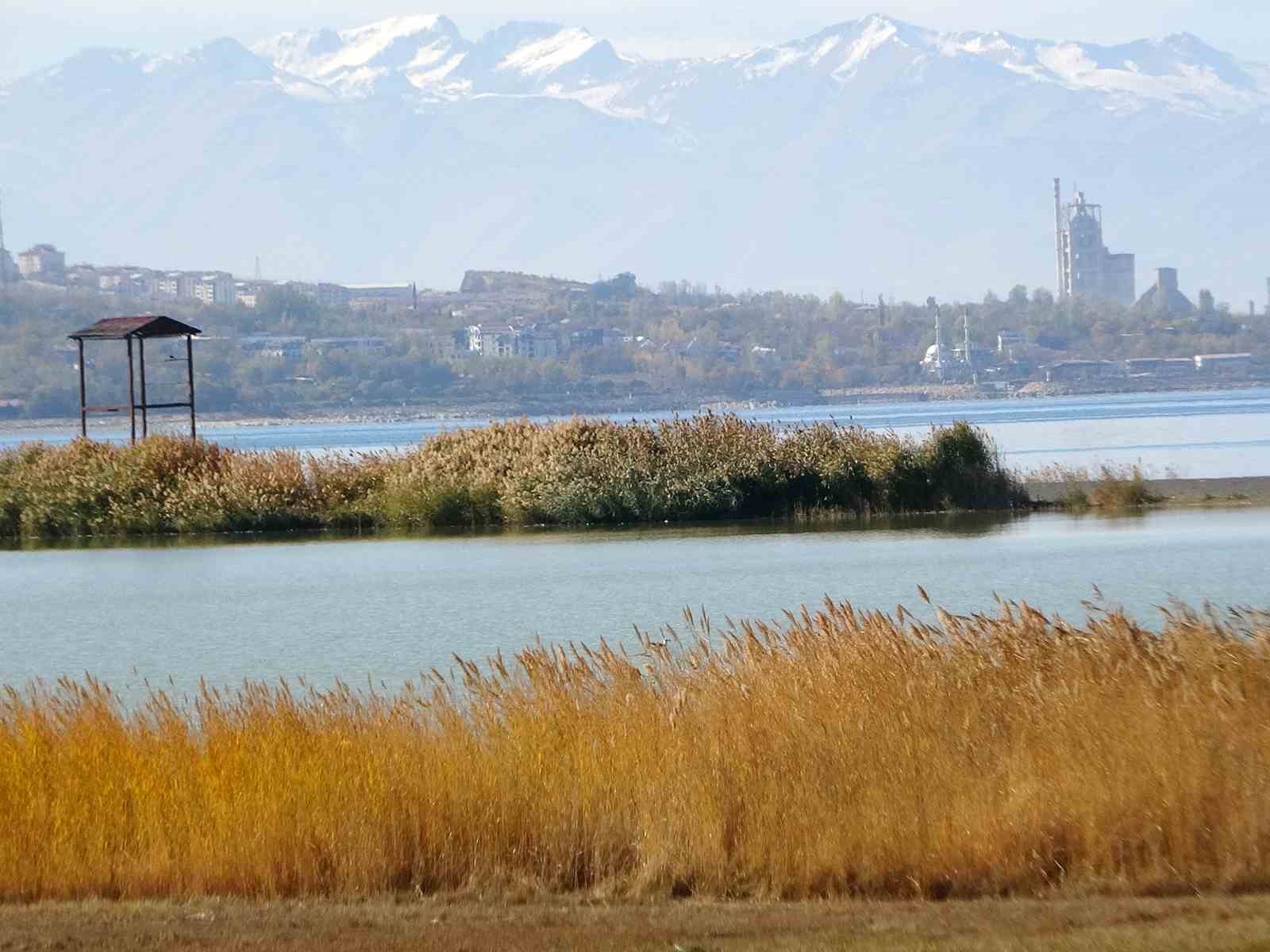 Van Gölü Havzası, Türkiye’nin en fazla sulak alanına ev sahipliği yapıyor
