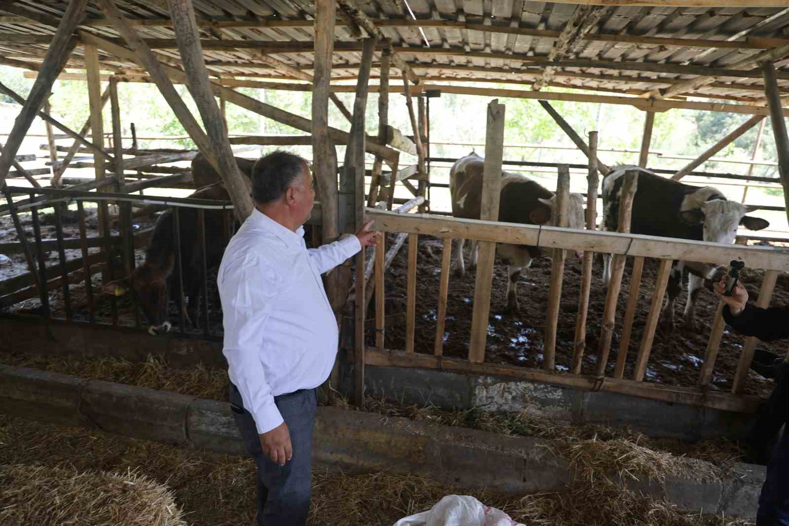 Üretimden kopamayan Başkan Pütün; "10 yıl sonra tarım üretimi yapacak kimse kalmayacak"