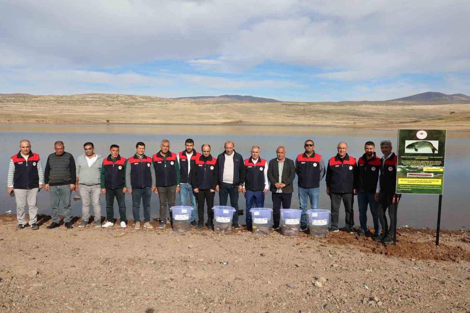 Elazığ’da Su Kaynakları Balıklandırma Projesi sürüyor