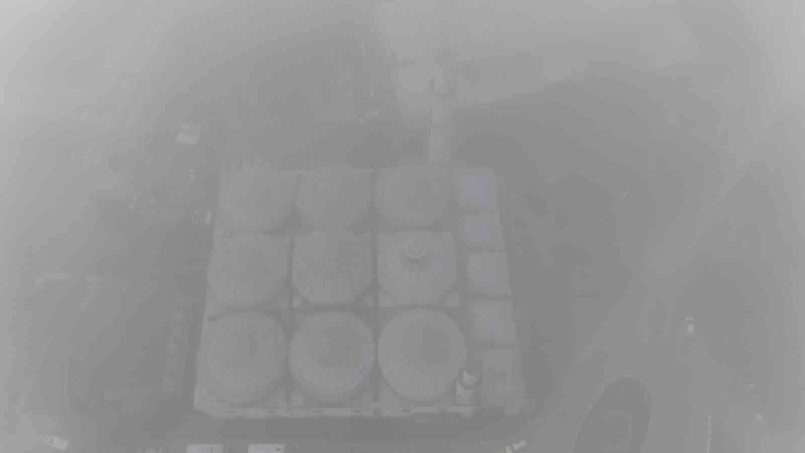 Edirne, yoğun sis altında kayboldu
