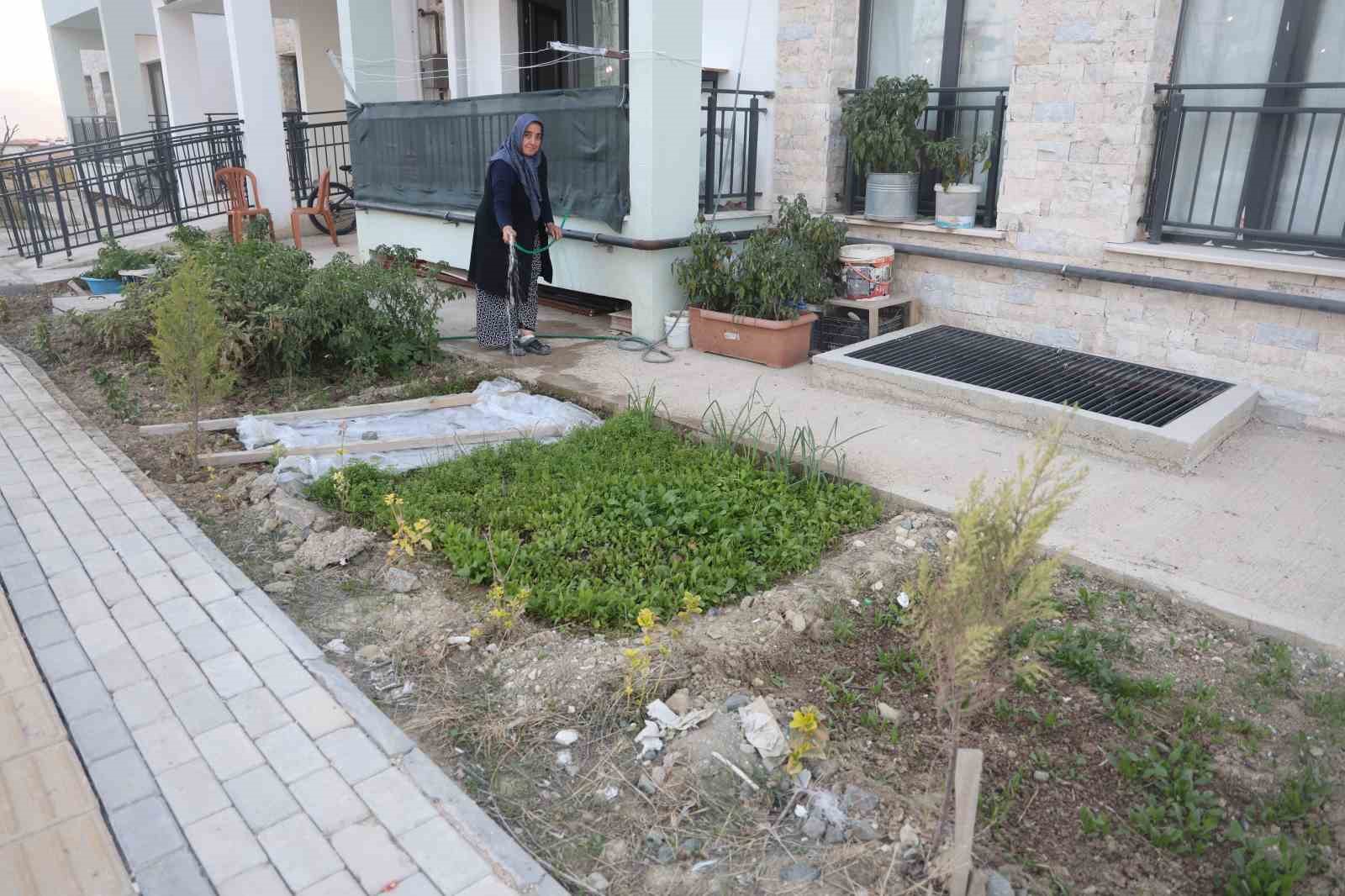 "Kadın eli değen her yer güzelleşir" sözü gerçek oldu: Depremzede kadın yeni yuvasının bahçesini ektiği sebzelerle güzelleştirdi