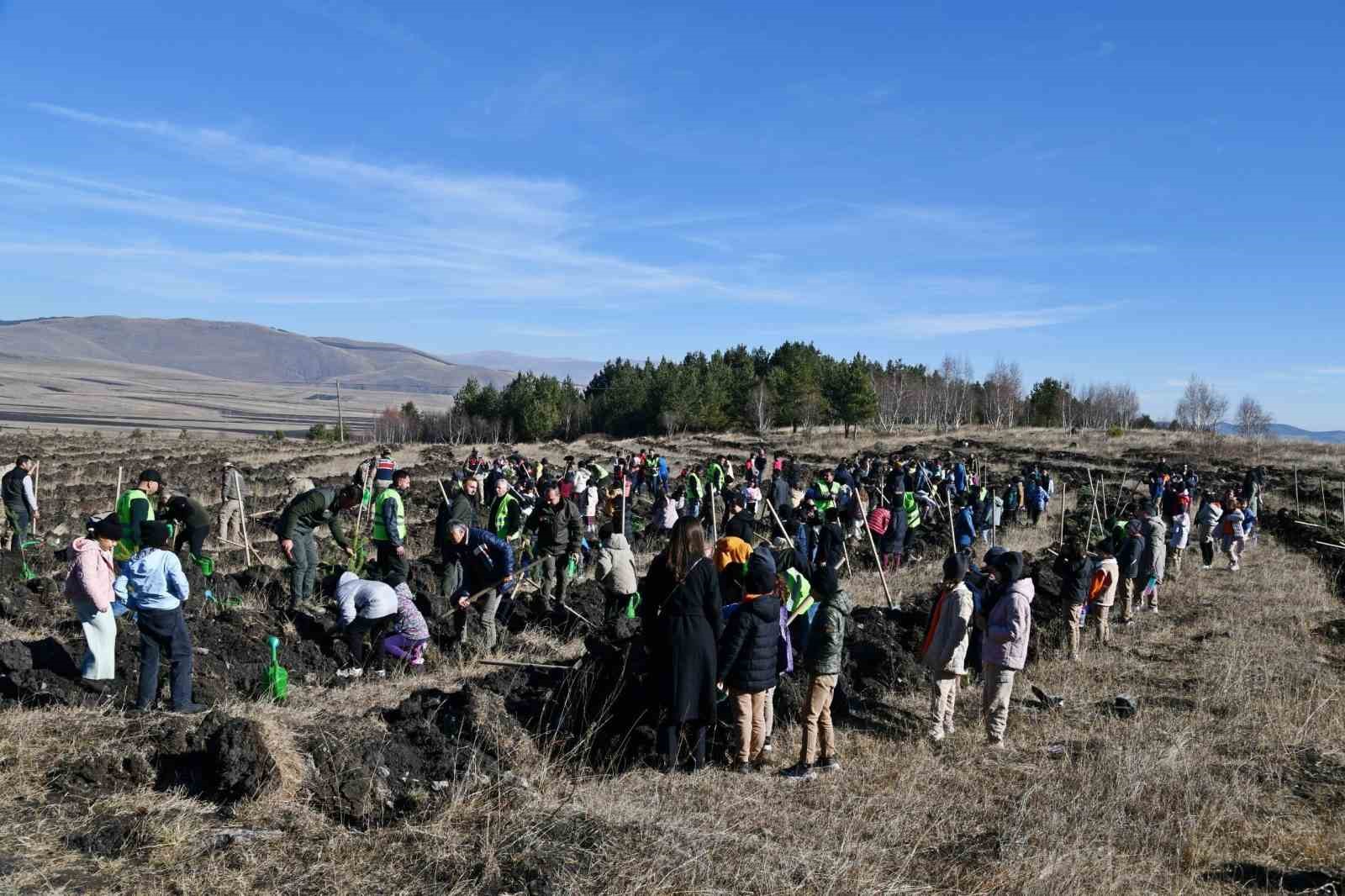 Ardahan’da öğrenciler fidan dikti