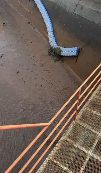 Osmaniye’de baraj kapakları açıldı, yüzlerce balık telef oldu