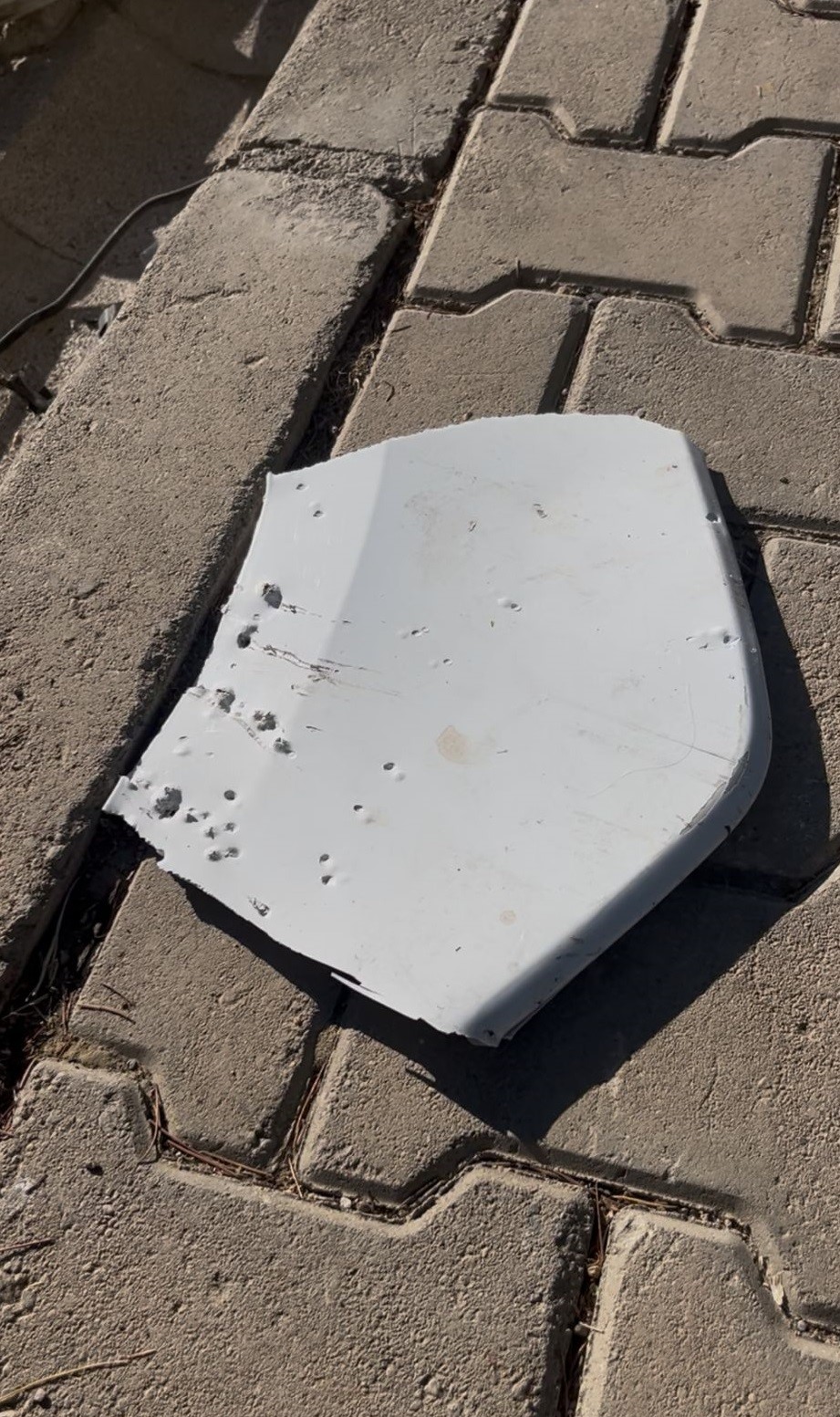 Sokak köpekleri ilçenin kabusu oldu: Otomobile 108 bin TL’lik zarar verdiler