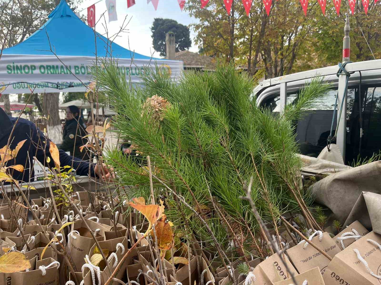 Sinop’ta vatandaşlara fidan dağıtıldı