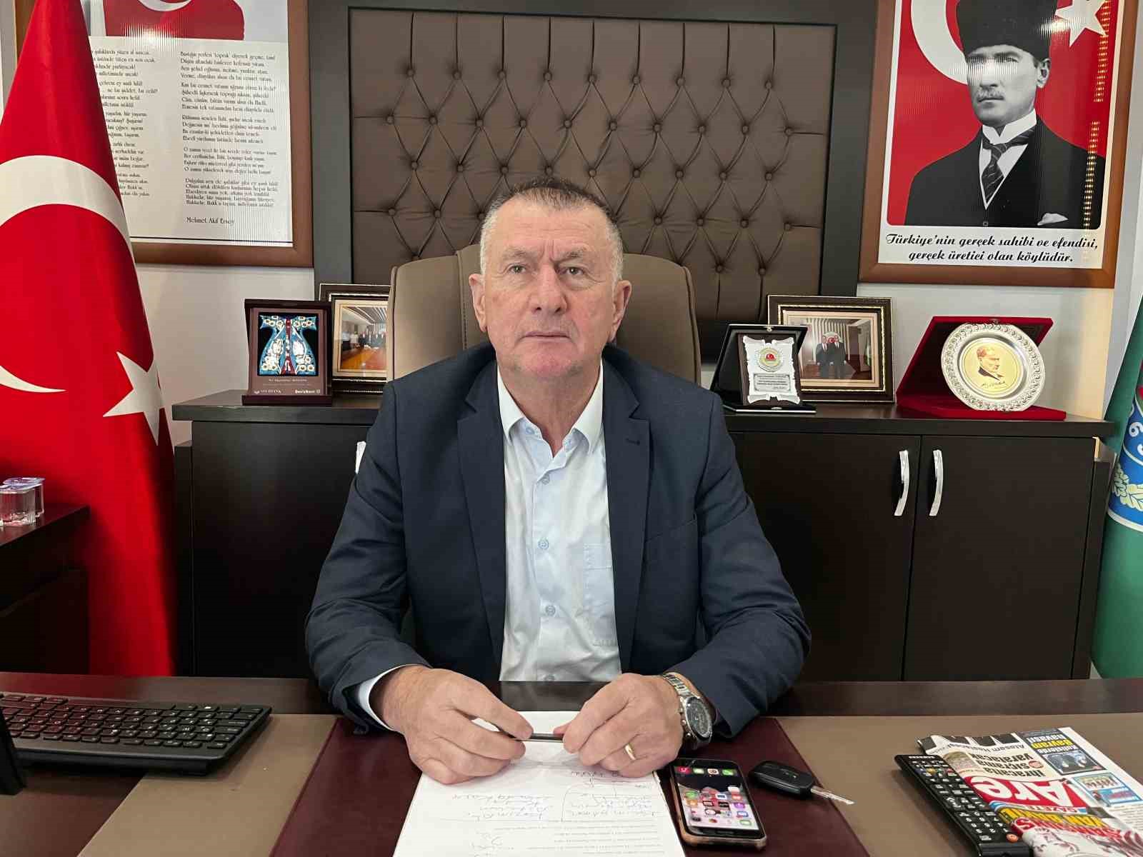 Çarşamba’da kivi hasadı başladı: Hedef Türkiye birinciliği
