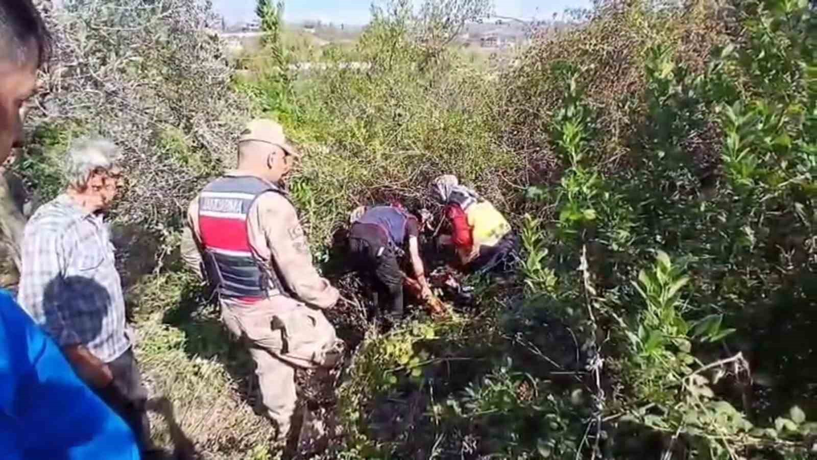 Kaybolan görme engelli yaşlı adamı jandarma zeytinlikte buldu
