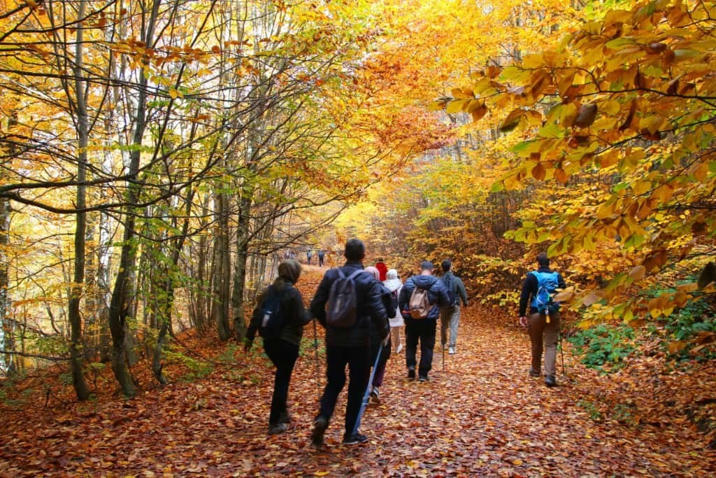 &rsquo;Doğayı Koruyun&rsquo; &ccedil;ağrısıyla y&uuml;r&uuml;d&uuml;ler
