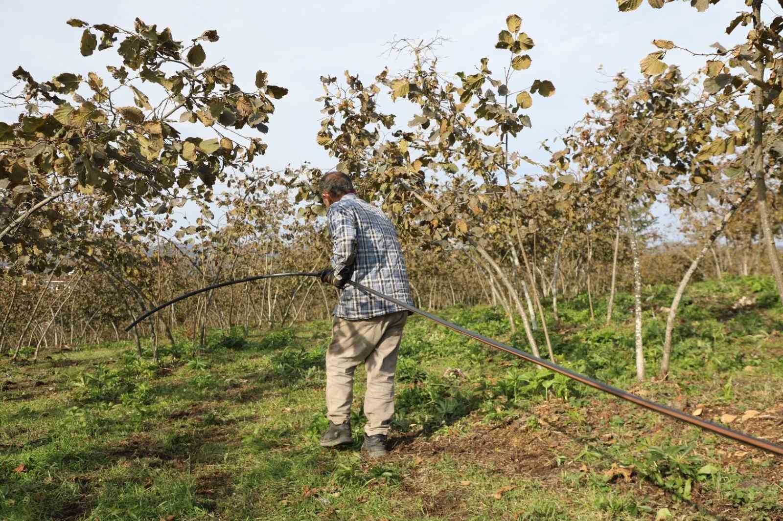 Ordu’da fındık bahçelerine kuraklık tehlikesine karşı damlama sistemi