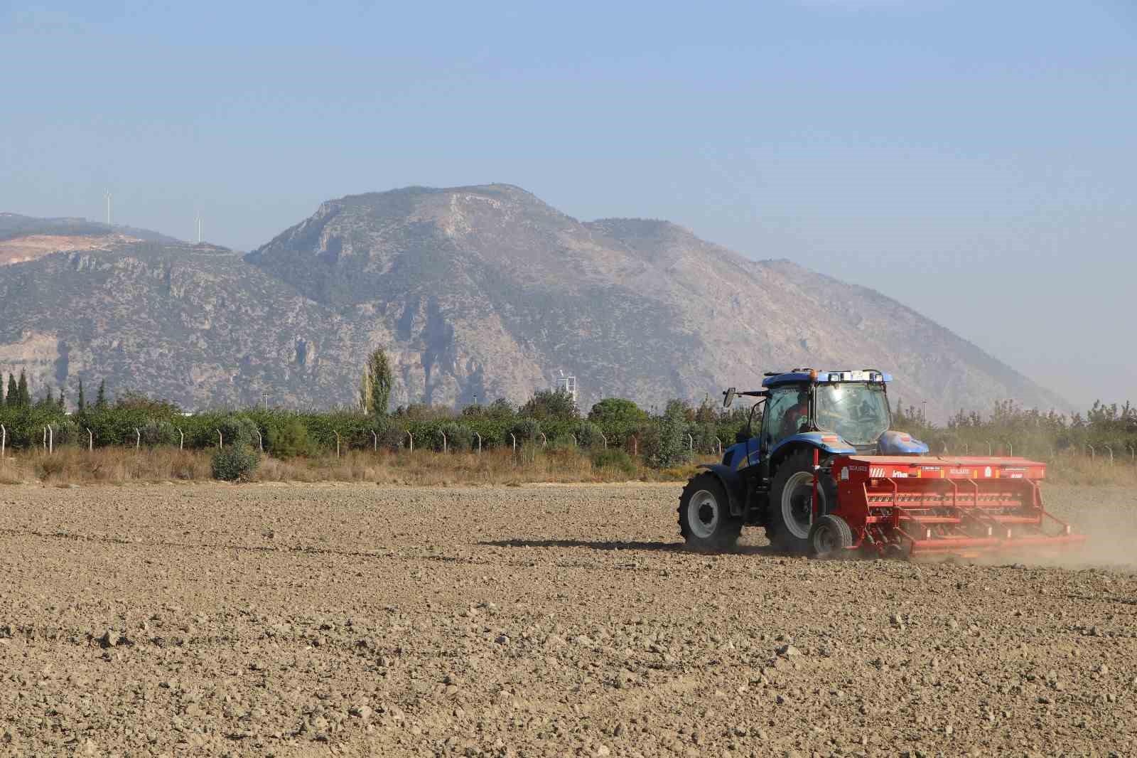 S&ouml;ke Belediyesi&rsquo;nin buğday tohumları bereket i&ccedil;in yeniden toprakla buluştu
