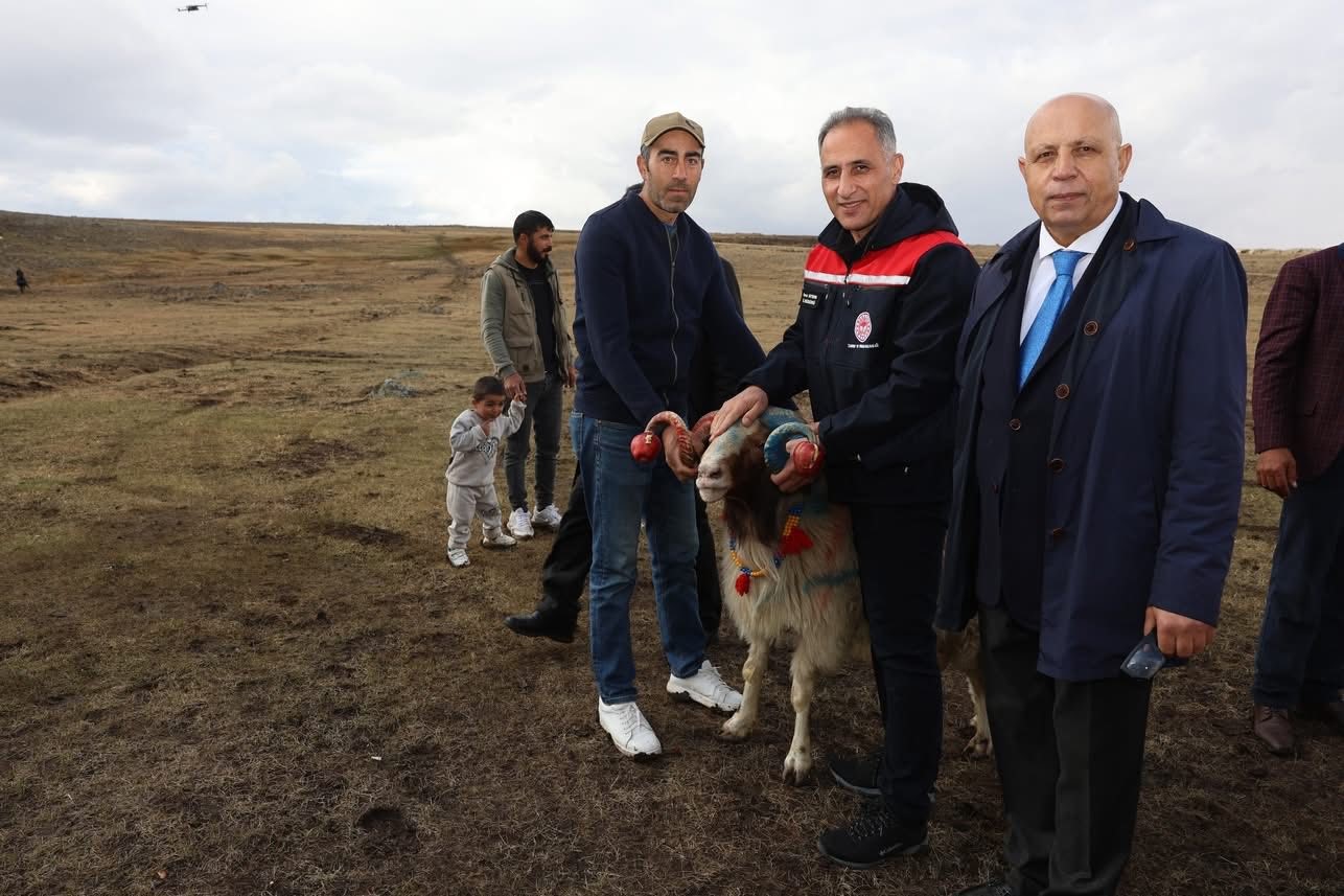 Arpaçay’da koç katımı