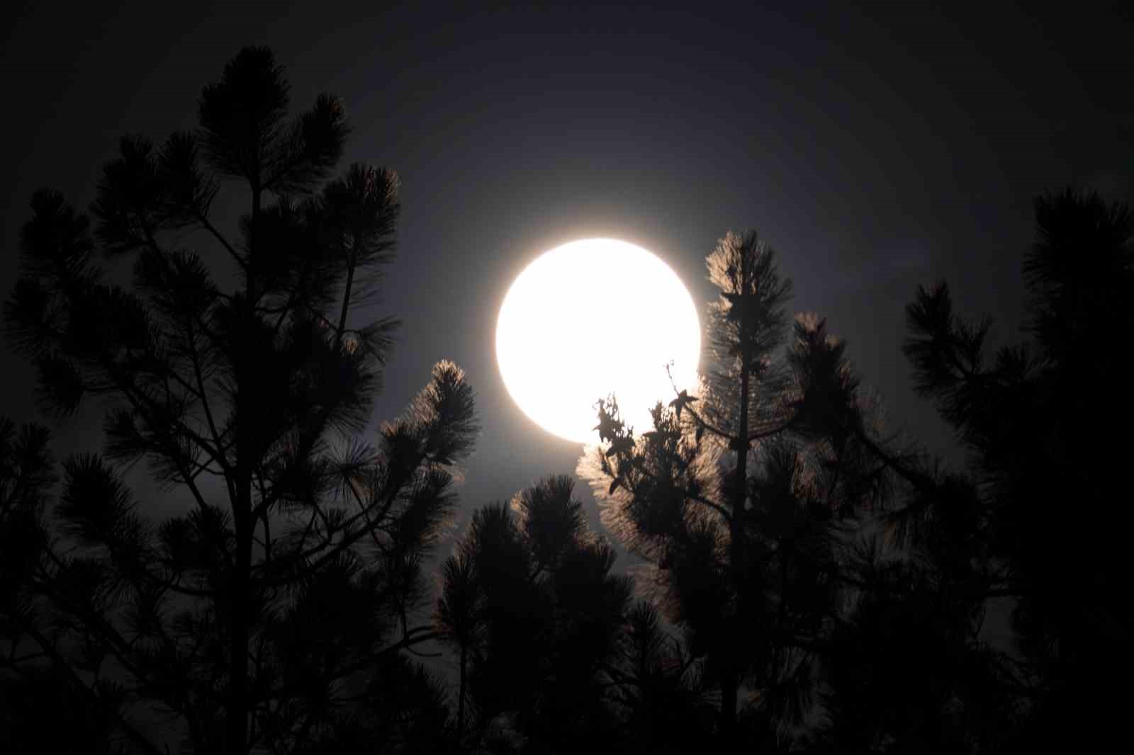 Spil Dağı&rsquo;nın eşsiz manzarası "Kunduz S&uuml;per Ay" ile aydınlandı
