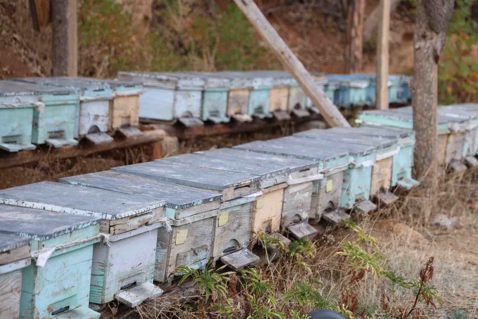 Adana&rsquo;da sıcaklık d&uuml;şmeyince arılar kışlama i&ccedil;in kovanlara girmedi
