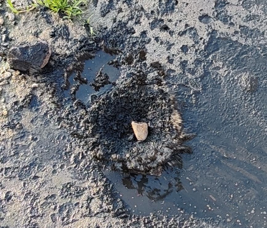 Gerede’de fabrikaların zehrini kustuğu derenin yeniden davası görülecek