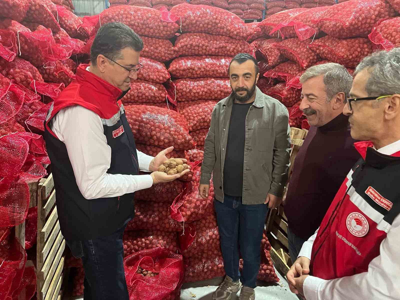 Tekirdağ’da ceviz ekim alanları genişliyor 3 Tekirdağ’da ceviz ekim alanları genişliyor