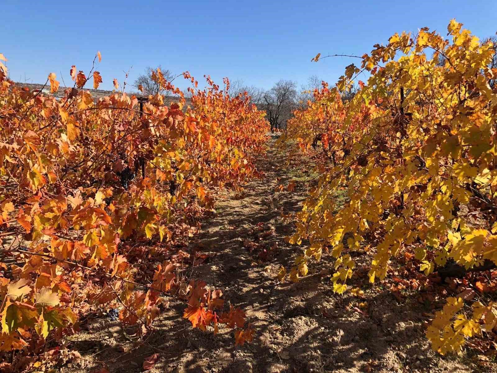 Arapgir&rsquo;de sonbahar doğal g&uuml;zelliğiyle g&ouml;renleri hayran bıraktırıyor
