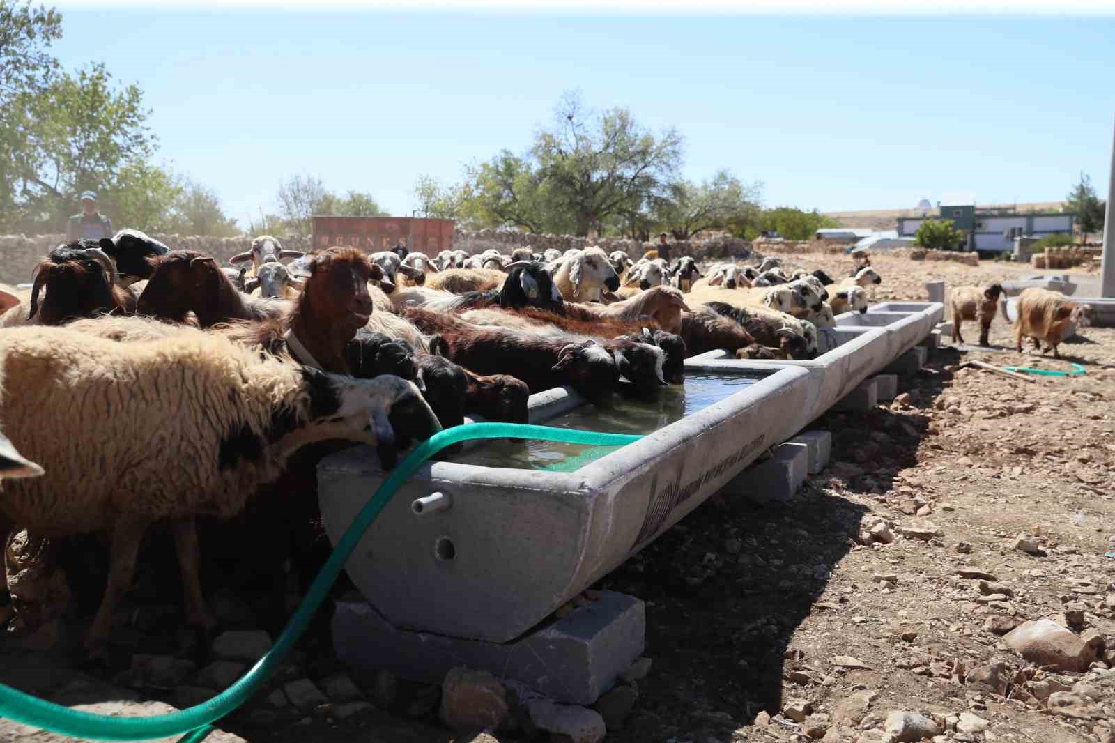 Mardin B&uuml;y&uuml;kşehir Belediyesi 5 il&ccedil;ede 330 adet sıvat dağıttı
