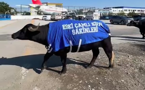 İzmir’de mandalı protesto: Okul sahibinden dikkat çeken tepki