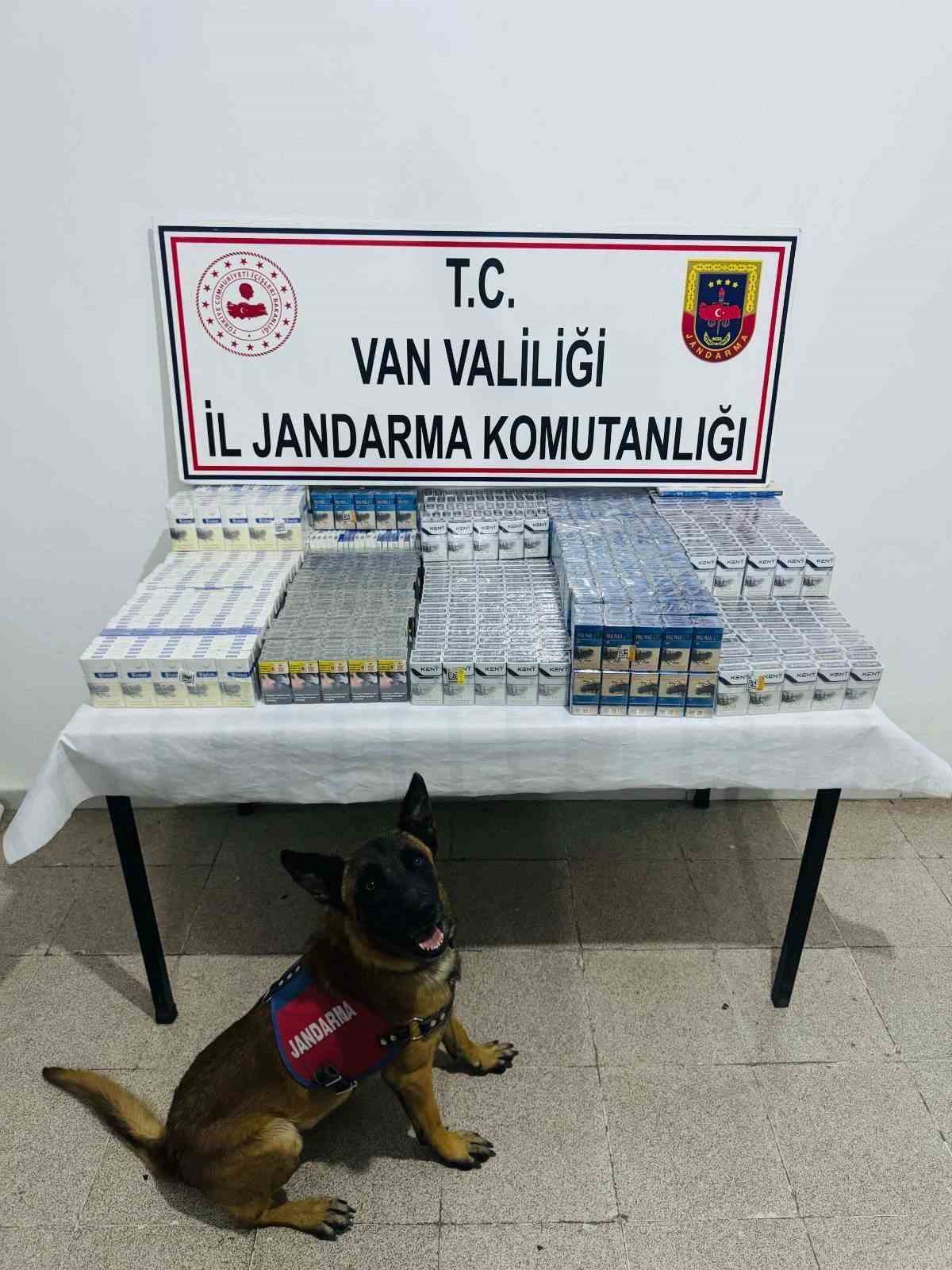 Van&rsquo;da 3 bin 75 paket ka&ccedil;ak sigara ele ge&ccedil;irildi
