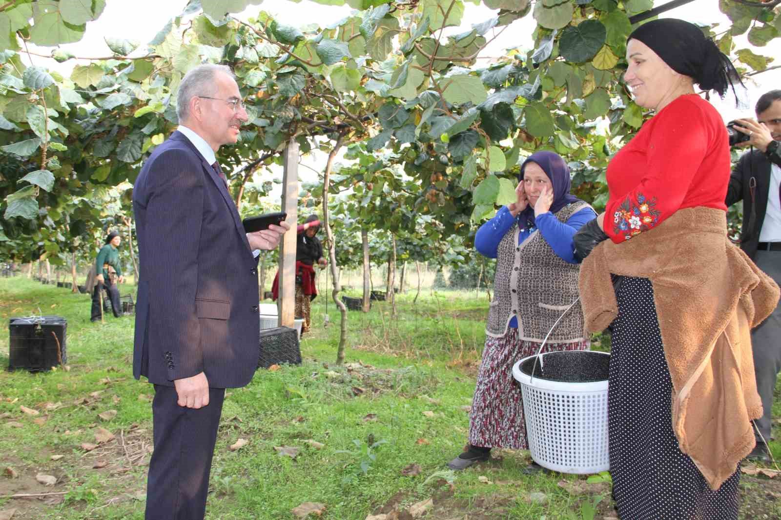 Samsun’da ‘2025 Yılı Kivi Hasat Etkinliği’