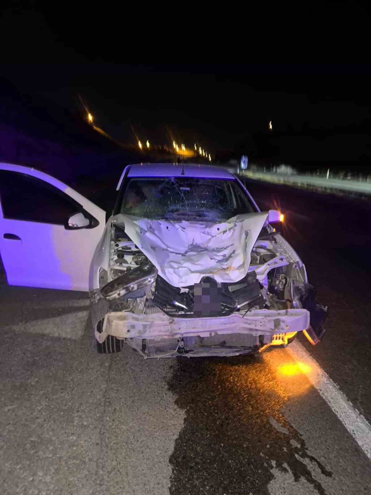 Siirt’te otomobilin çarptığı at telef oldu