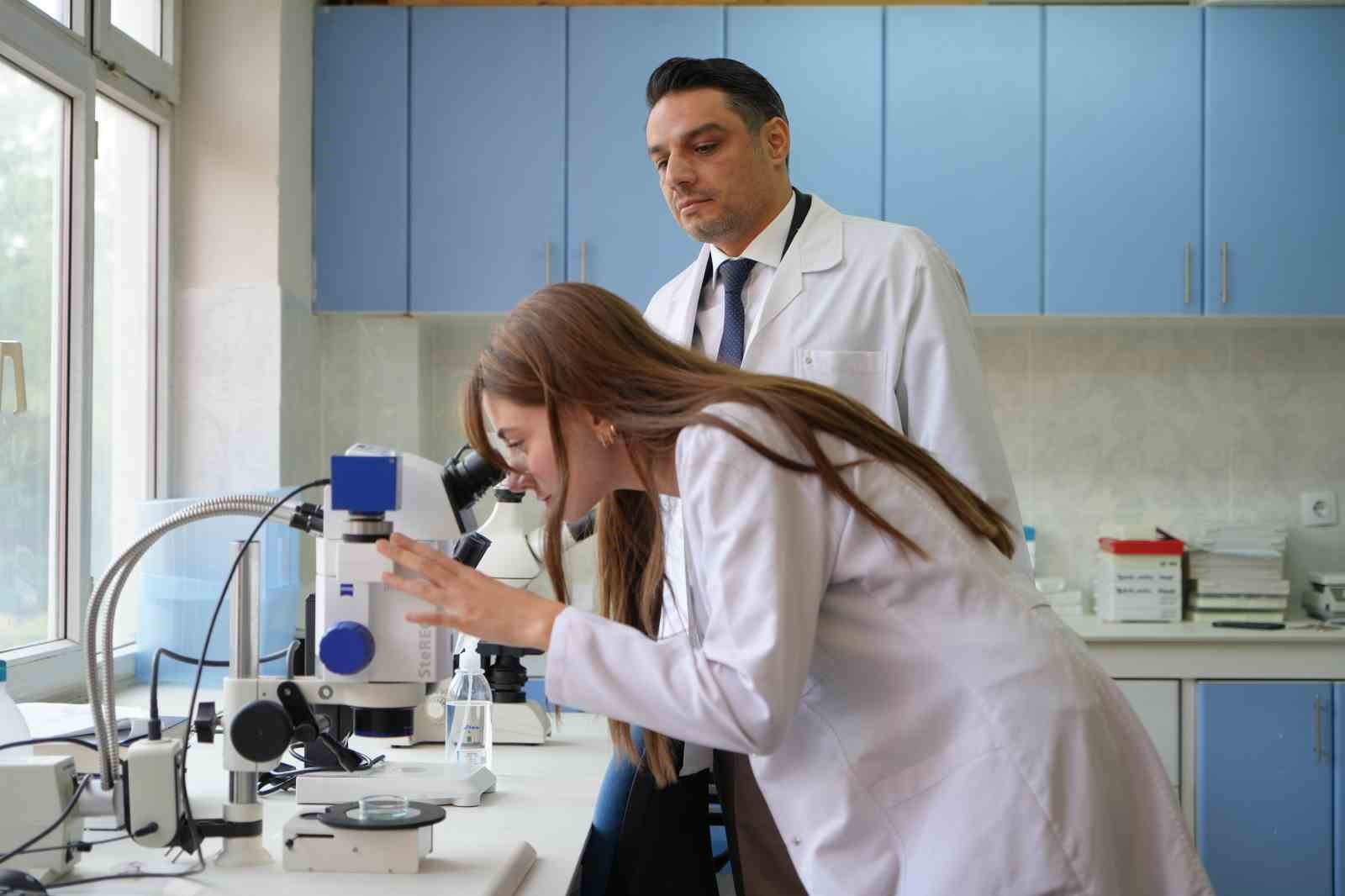 Kuraklığın ardından sinek istilası başladı