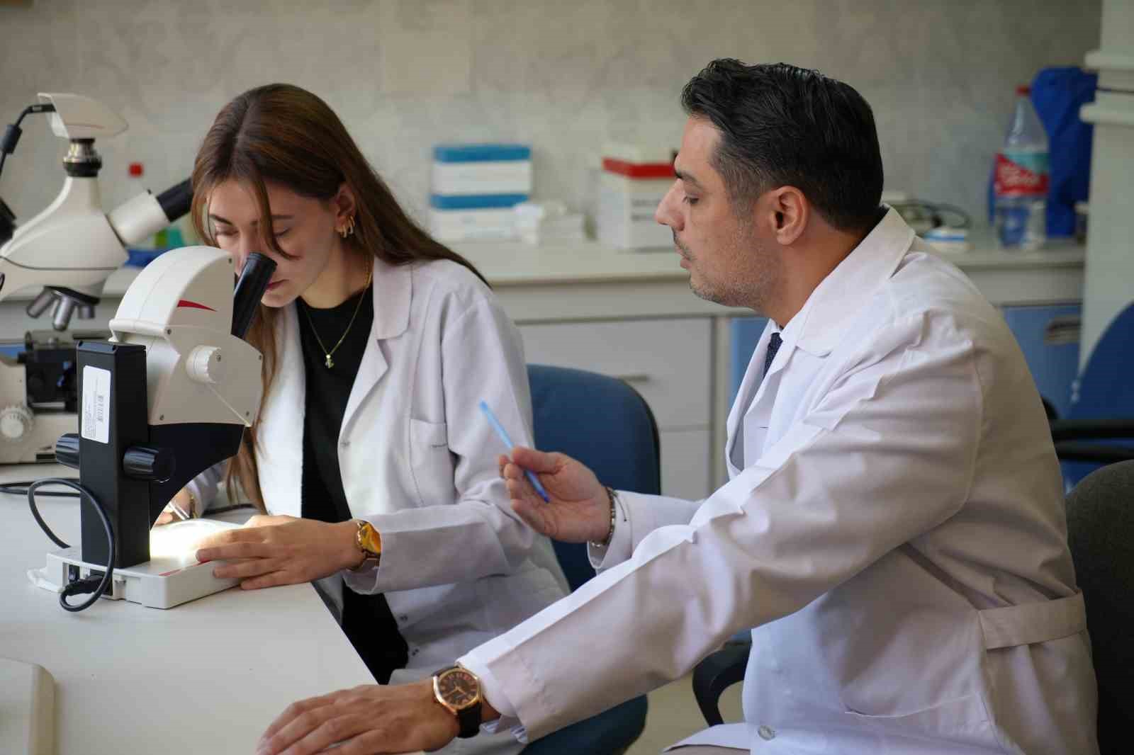 Kuraklığın ardından sinek istilası başladı