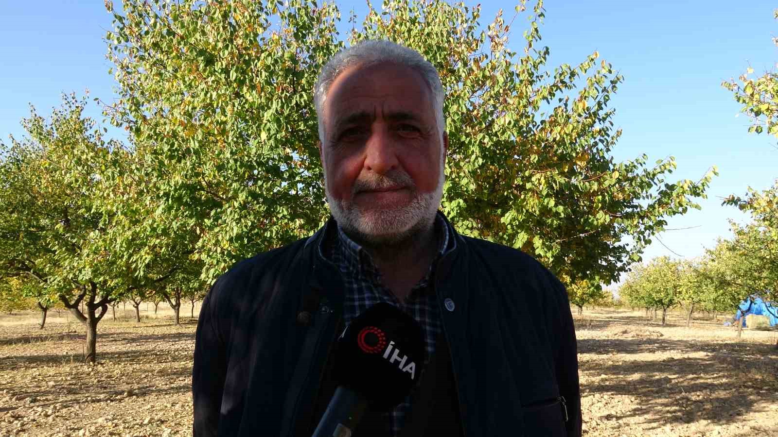 Zirai dondan etkilenen kayısı ağa&ccedil;ları gelecek yıl i&ccedil;in umut veriyor
