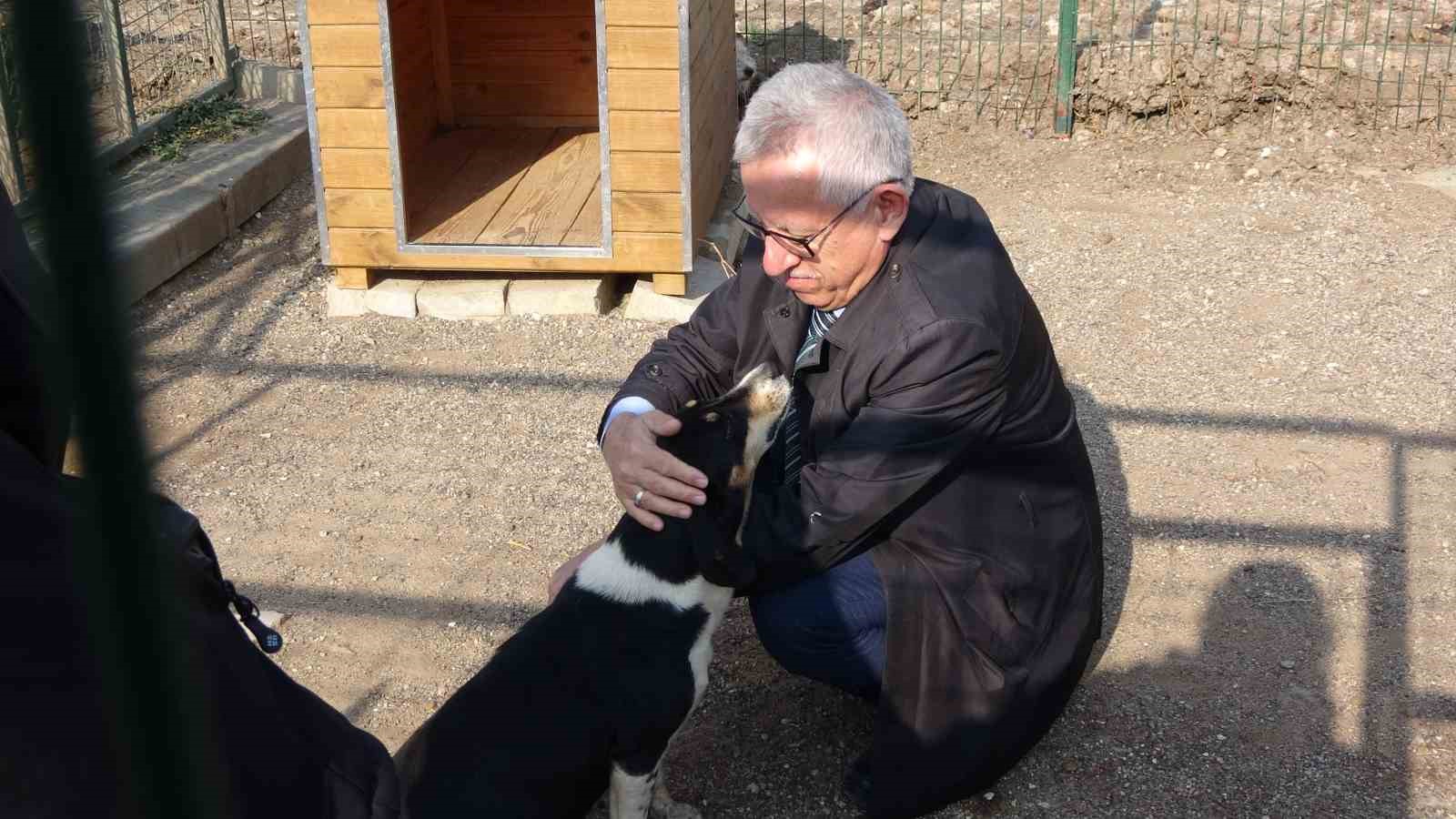 Makamında kedi besleyen Başkan Arslan, hayvan dostu projeleriyle de örnek oluyor