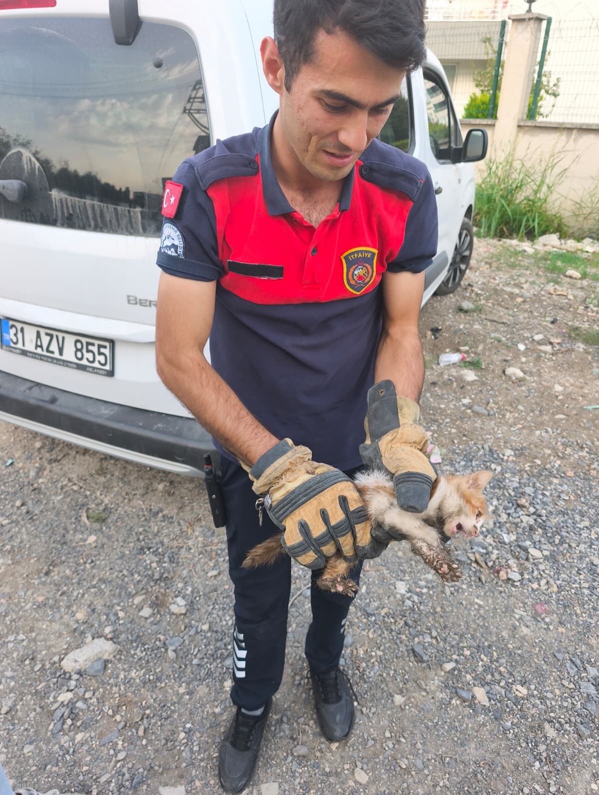 Arsuz’da aracın kaputuna giren kediyi itfaiye kurtardı