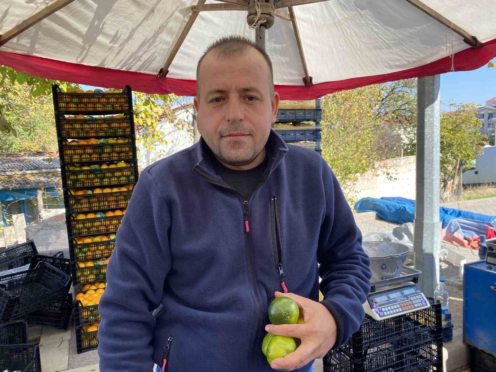 Mandalinanın fiyatı geçen seneye göre yüzde 30 düştü