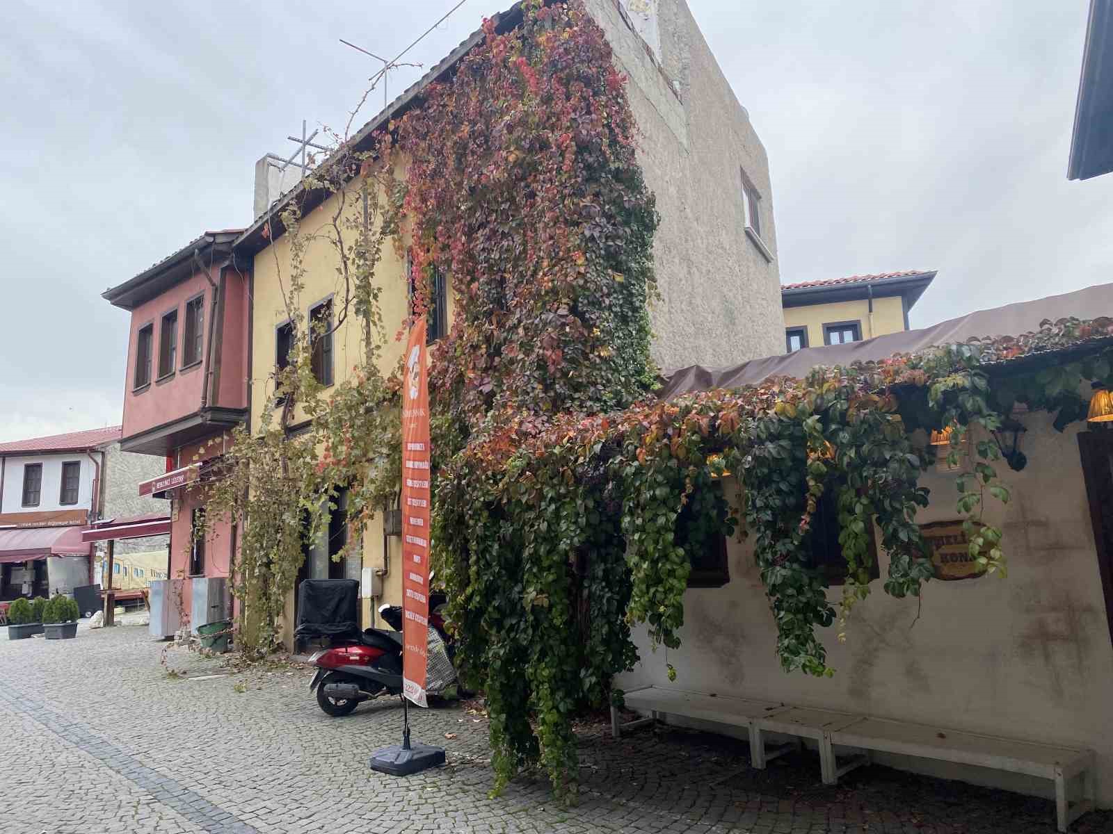 Bitkiler ile kaplanan tarihi yapı kartpostallık manzara oluşturuyor