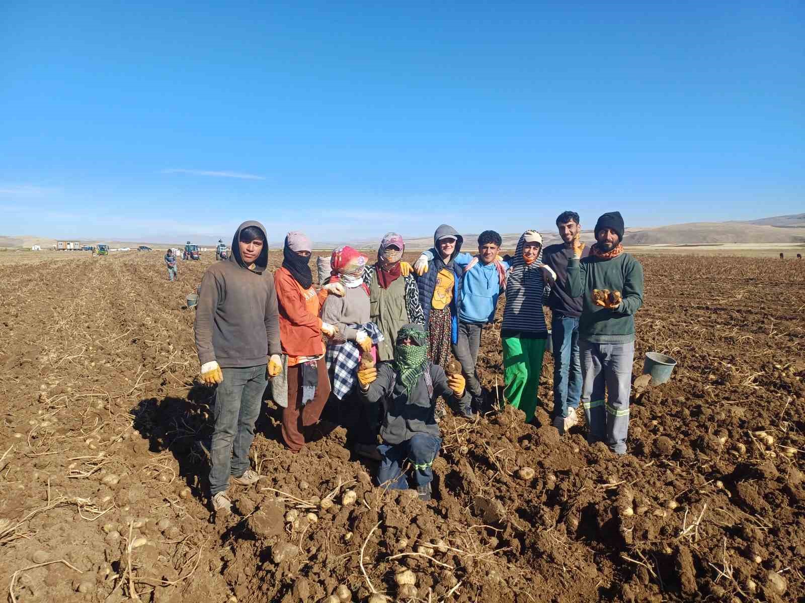 Malazgirt’te ilk defa ekilen patates umut oldu