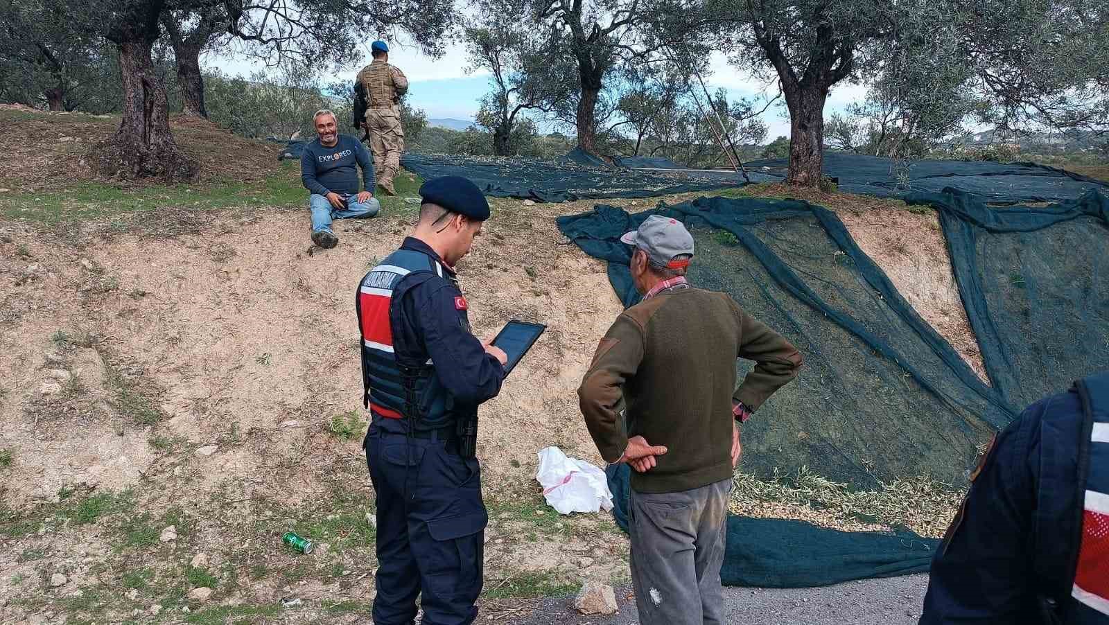 Edremit&rsquo;te zeytin hırsızlığına karşı komandolar sahada
