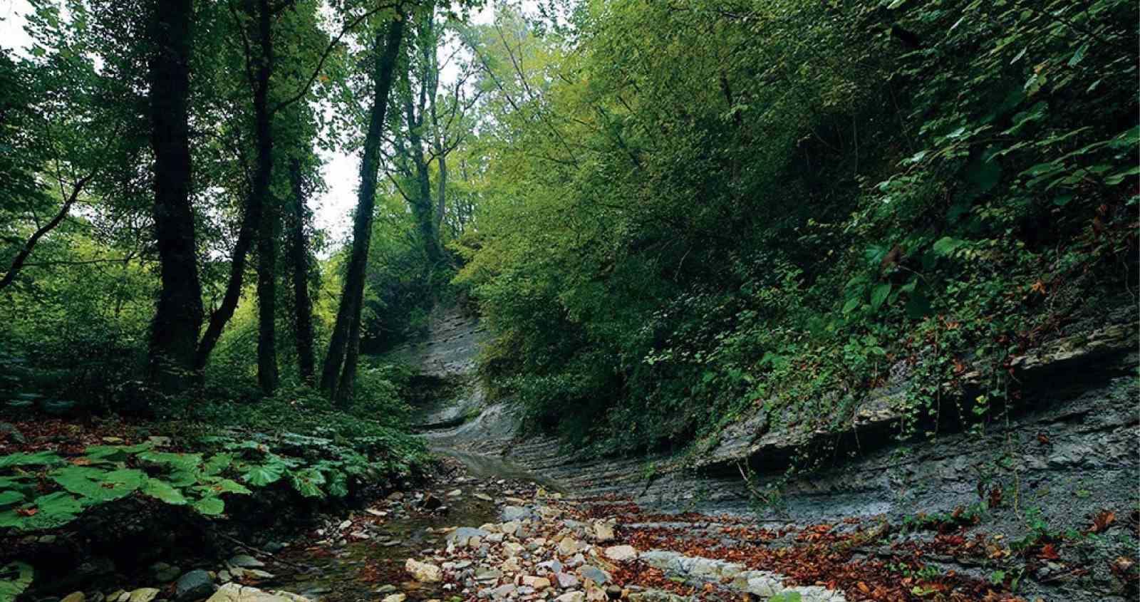 Kastamonu Güney Karadeniz Jeoparkı için resmi başvuru yapıldı