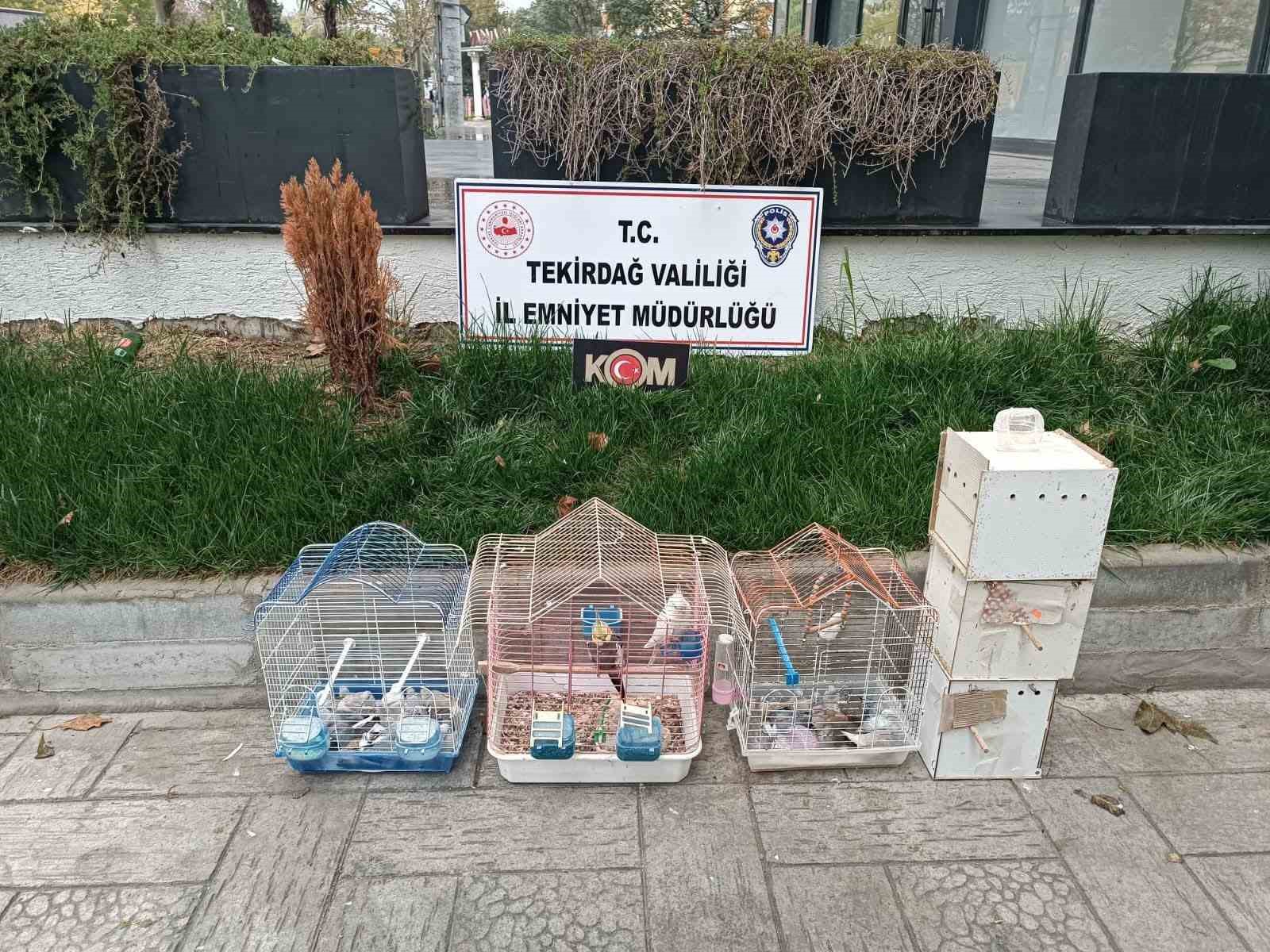 Tekirdağ’da yasa dışı hayvan üretimine ağır ceza