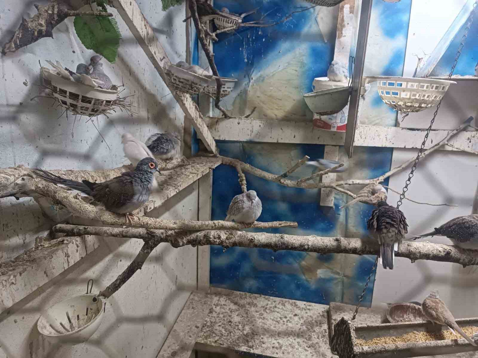 Tekirdağ&rsquo;da yasa dışı hayvan &uuml;retimine ağır ceza
