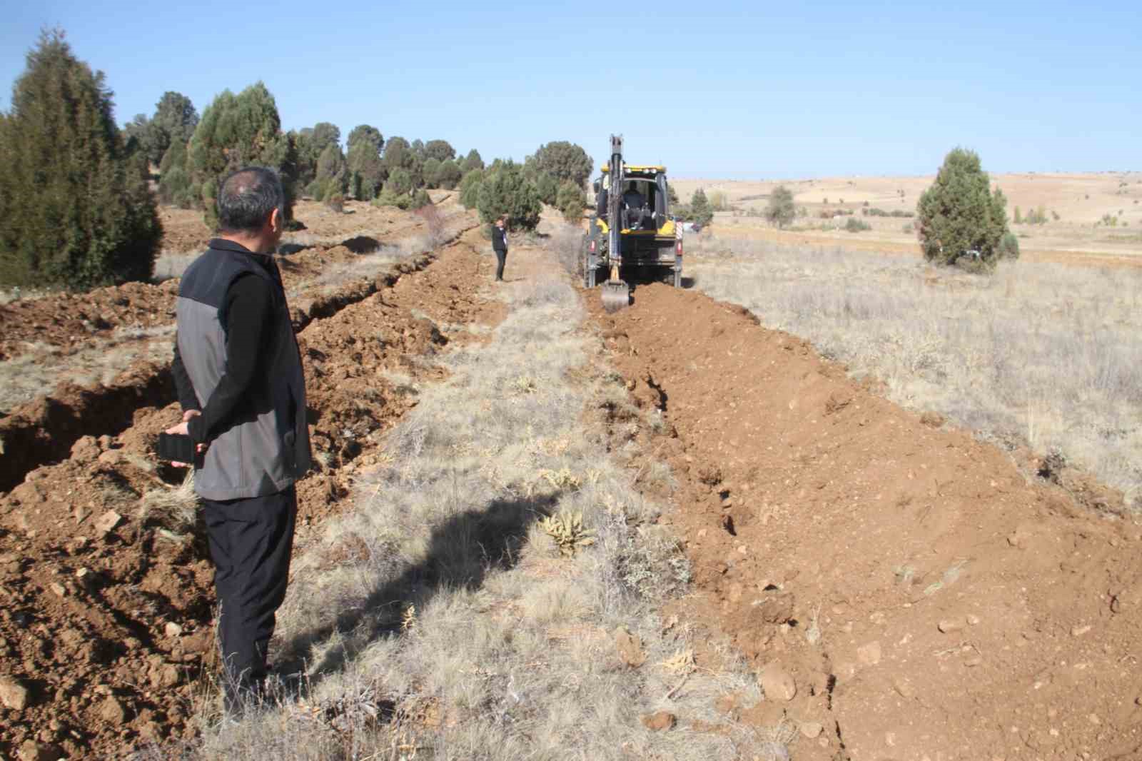 Beyşehir’de 11 bin orman fidanı daha toprakla buluşturulacak