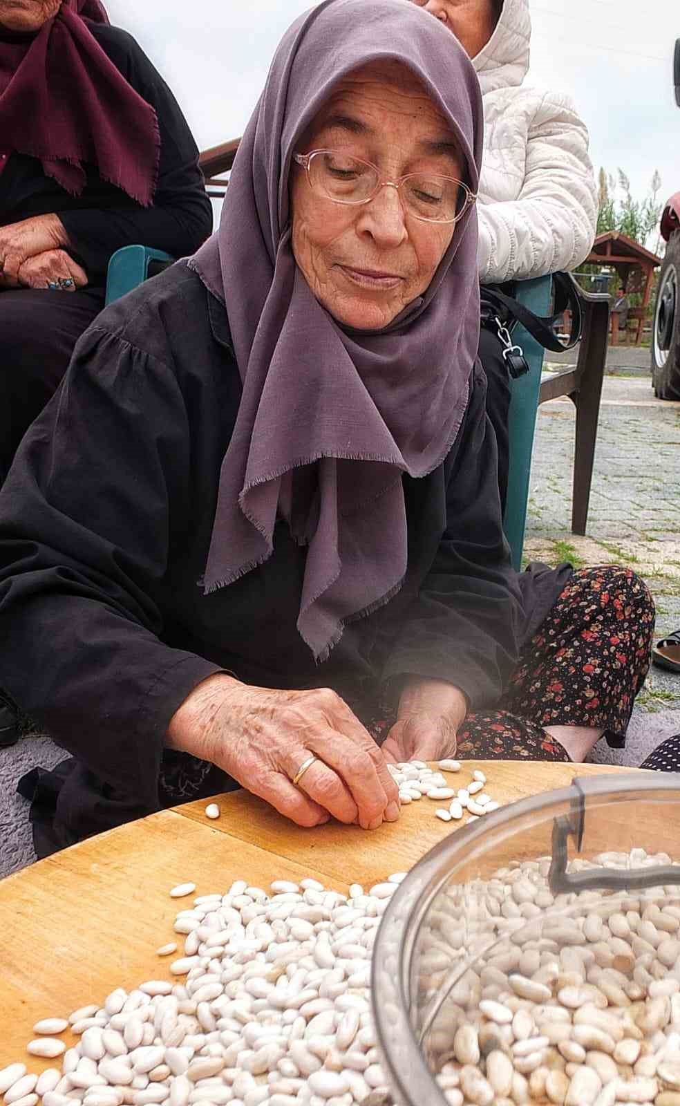 Coğrafi işaretli Kazak fasulyesinde ilk hasat festivali yapıldı