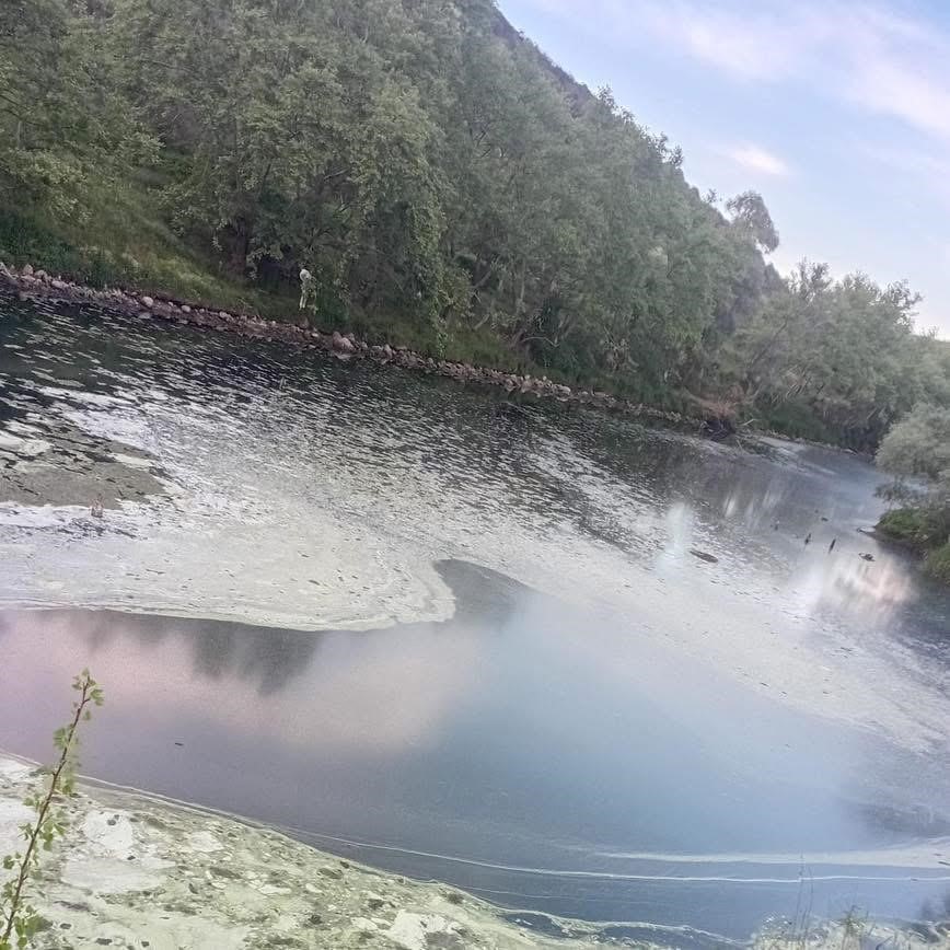 Gönen Çayı’nda ekolojik çöküş: Bilim insanlarından acil eylem çağrısı