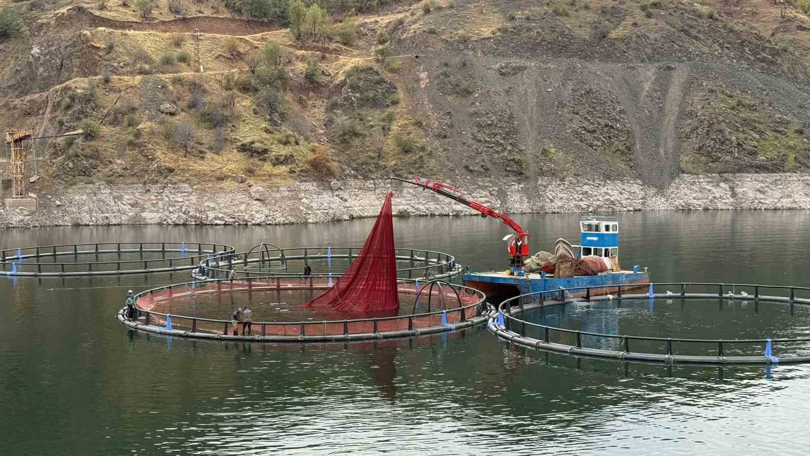 Diyarbakır&rsquo;da 500 ton kapasiteli tesisten d&uuml;nyaya "Mezopotamya somonu" g&ouml;nderilecek
