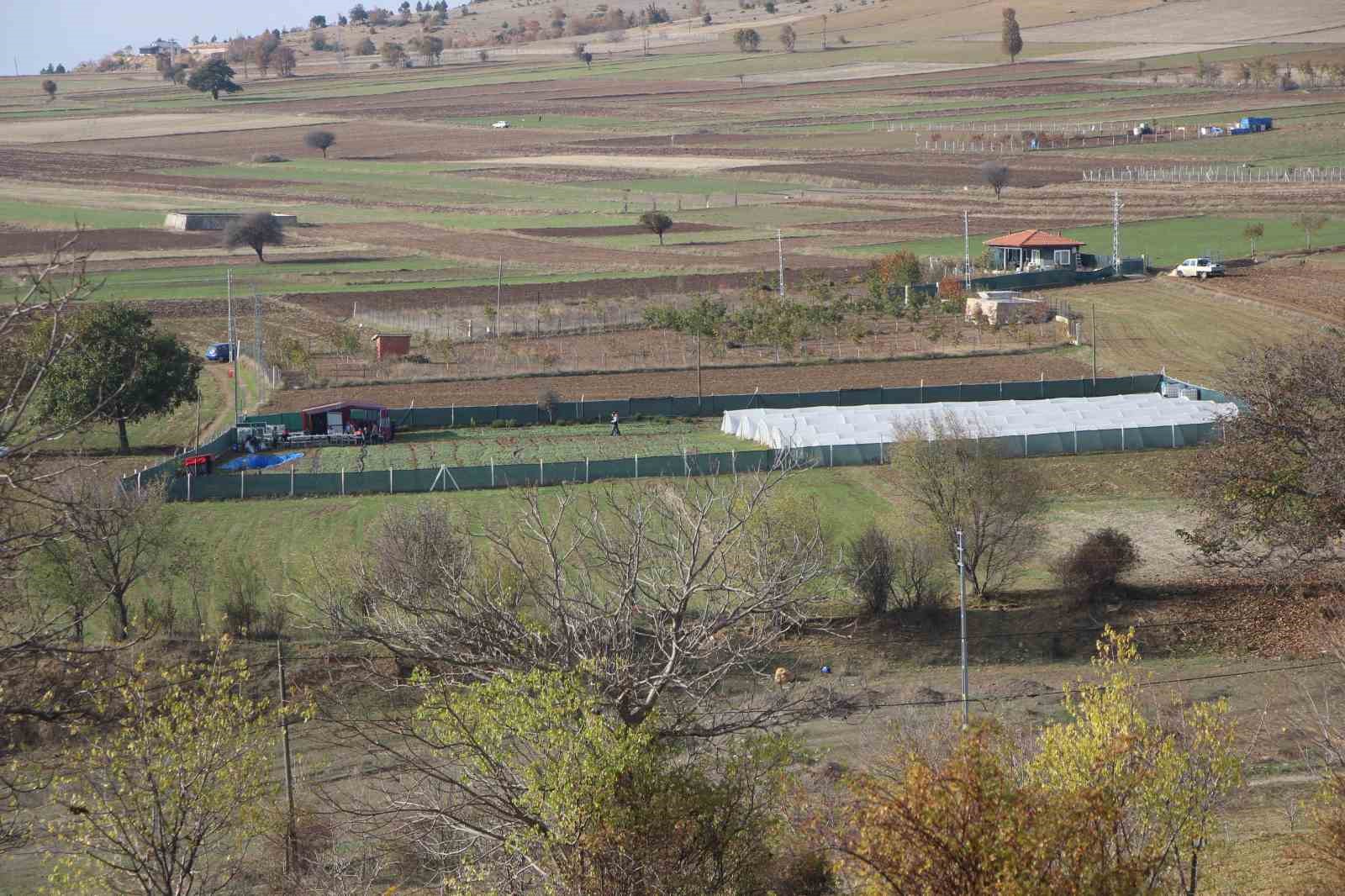 İstanbul’dan köyüne dönen gıda mühendisi kadın yeşil mirası renklendirdi