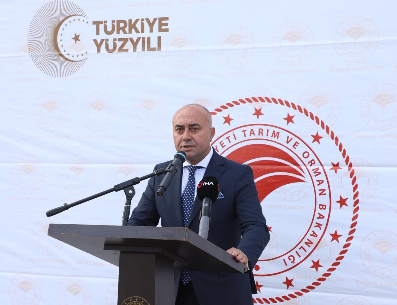 Zeytin hasadı başladı, Marmarabirlik&rsquo;ten 70 bin tonluk alım ve 50 milyon dolarlık ihracat hedefi
