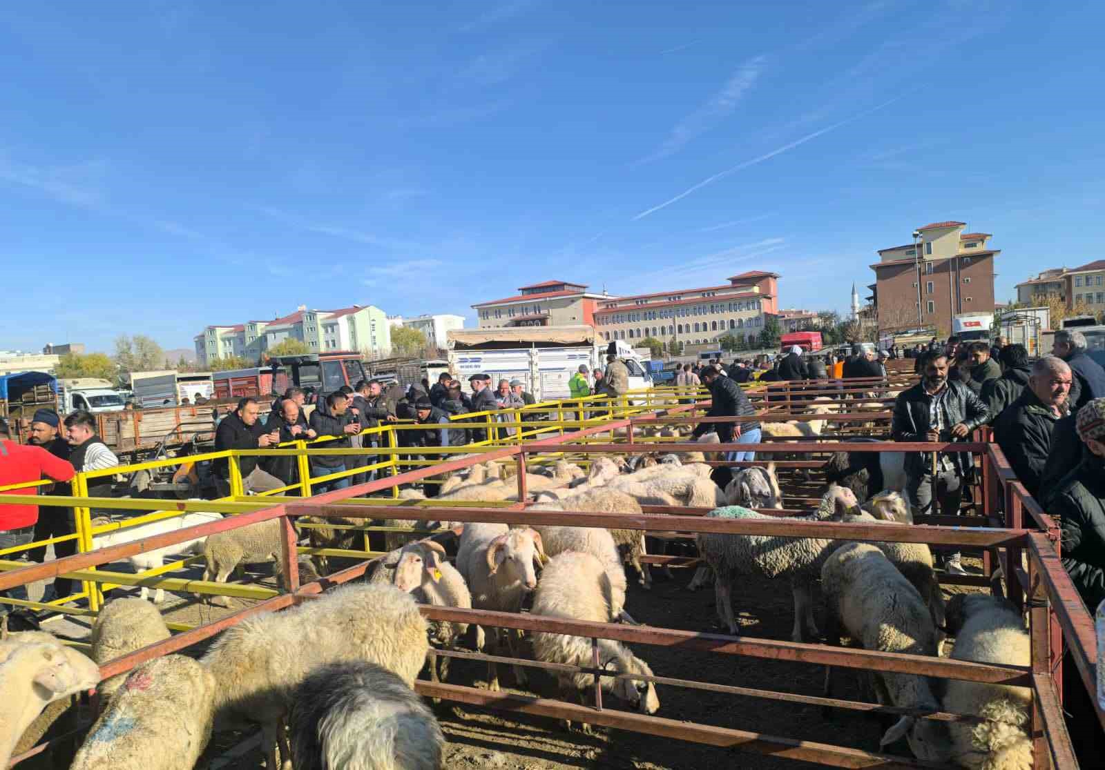 Uzun süredir kapalı olan canlı hayvan pazarı açıldı