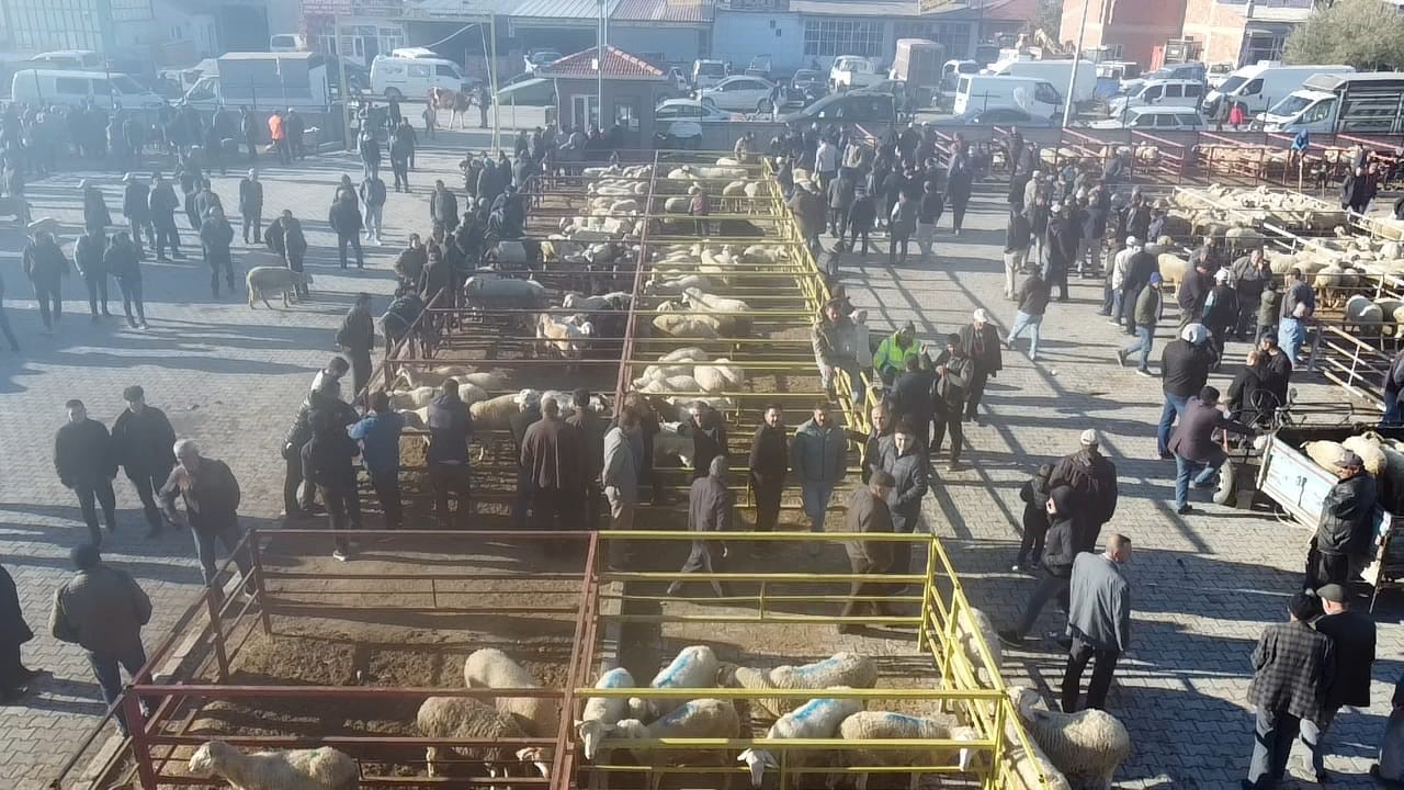 Uzun s&uuml;redir kapalı olan canlı hayvan pazarı a&ccedil;ıldı
