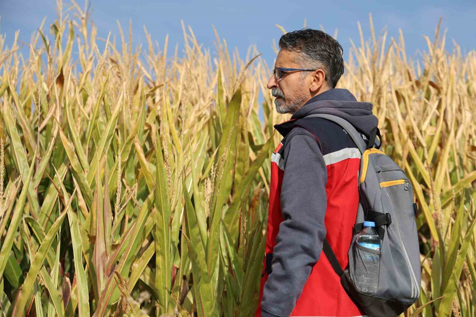 Elazığ&rsquo;da kayıp otizmli &ccedil;ocuğun ailesi endişeli: "D&ouml;rt g&uuml;n oldu, a&ccedil;lık ve susuzluktan her şey olabilir"
