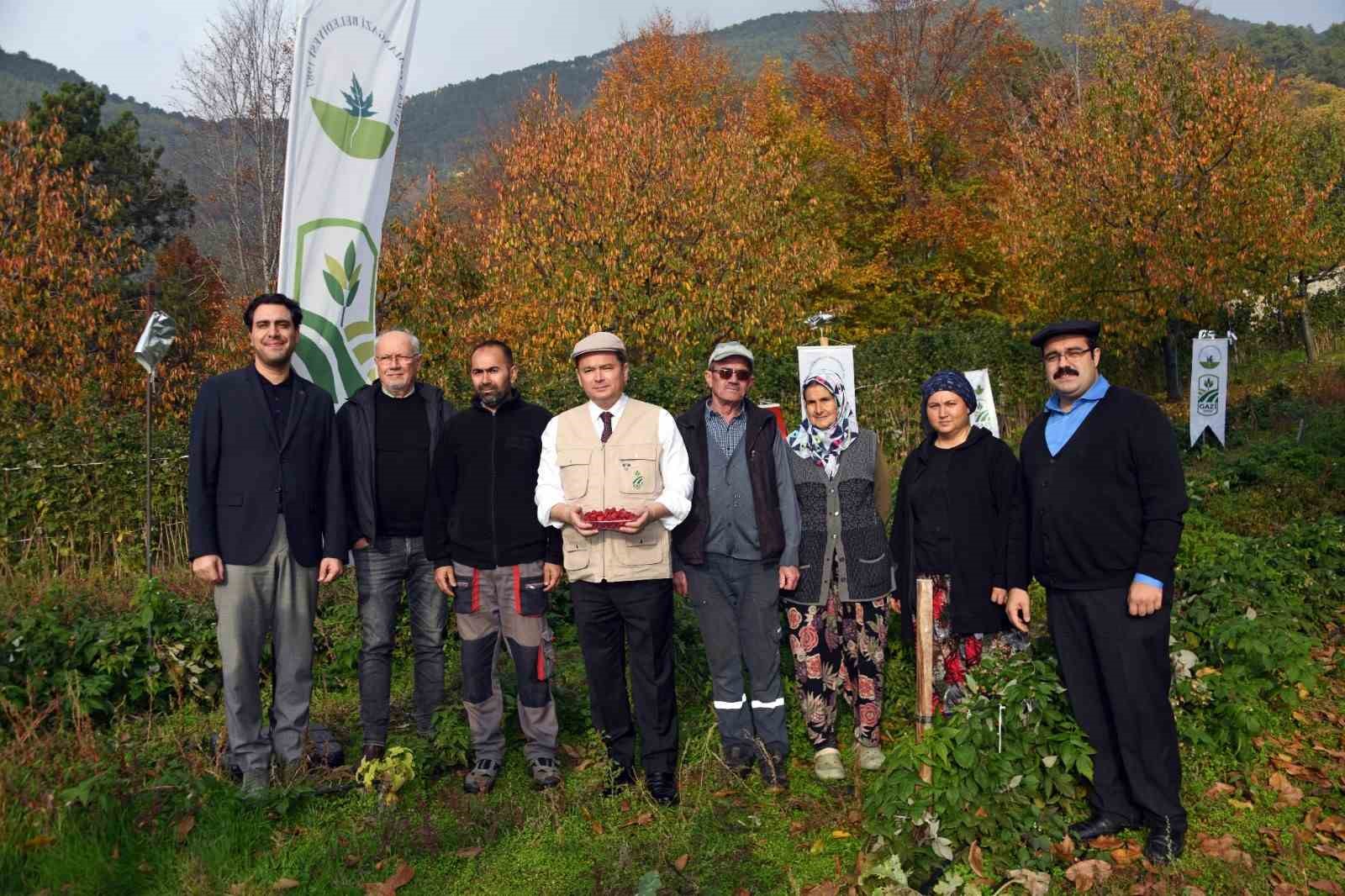Osmangazi&rsquo;de &Uuml;z&uuml;ms&uuml; Meyvelerde Organik Tarım Seferberliği

